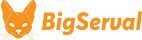 agence-bigserval-sticky-logo